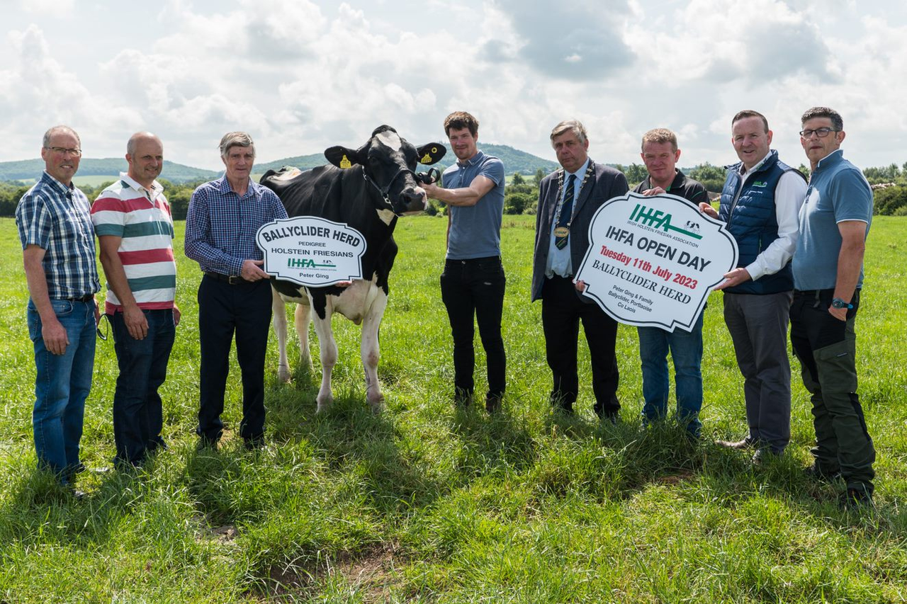 Ballyclider herd to feature in upcoming IHFA open day