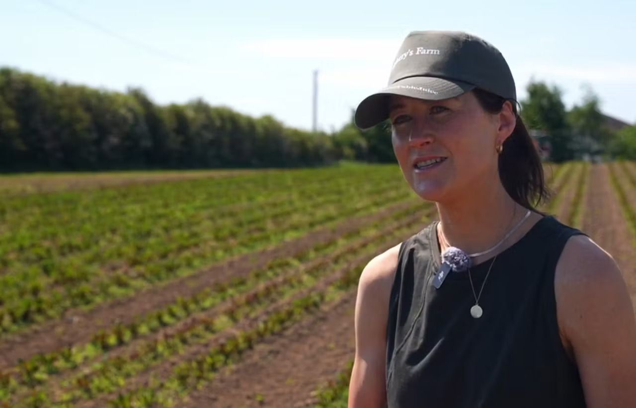 How An Offaly Farmer Turned Beetroot Into A Business