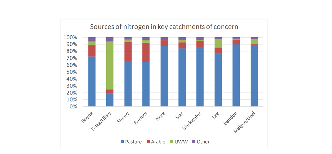 Nitrogen and water quality - all you need to know