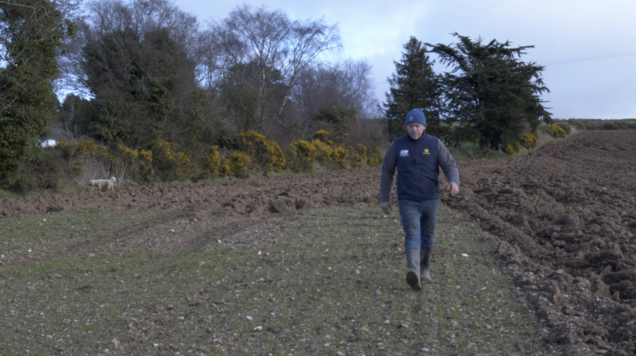 Organics Series: Watch - Wicklow farmer discusses conversion