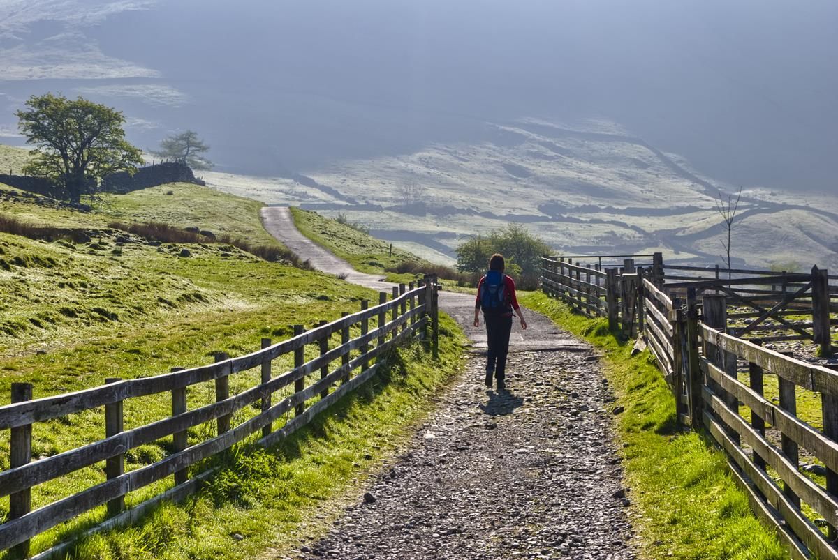 High Court overturns decision to award €40,000 in damages to hillwalker