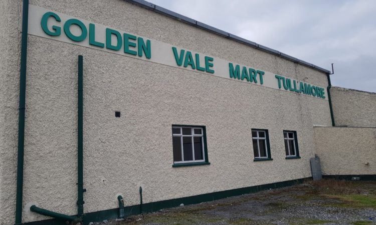 Store heifers sell up to €2.71/kg at Tullamore Mart