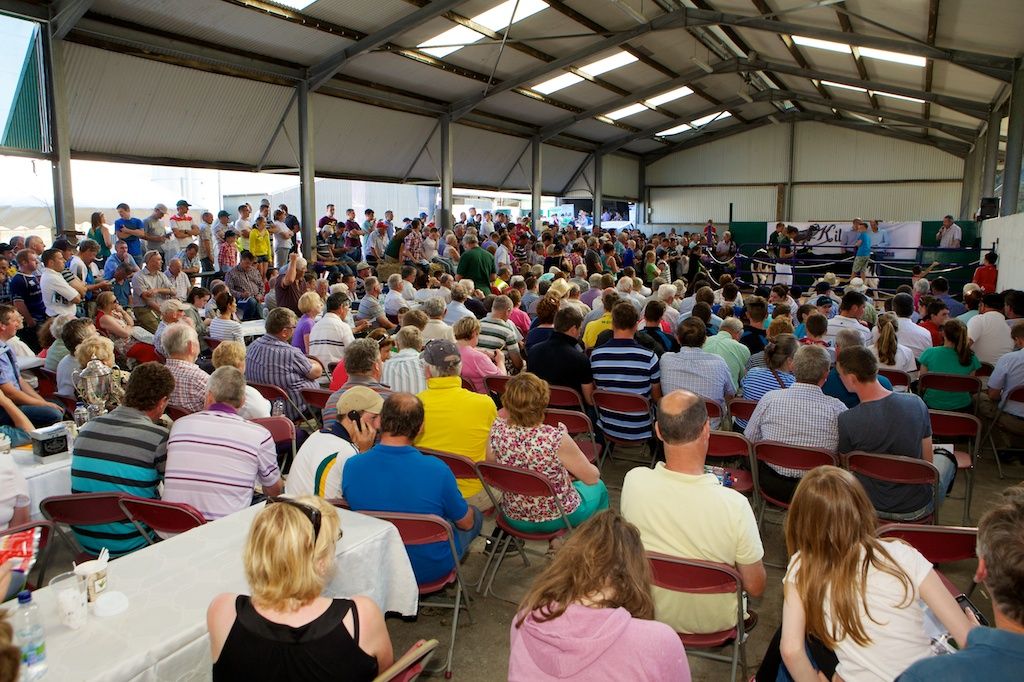 Journal : IHFA open day in Cork