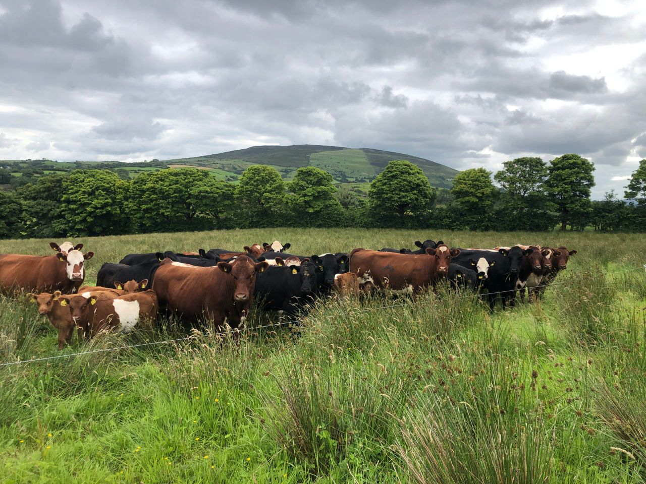 ACRES: Farm measures to get 'priority access' to scheme