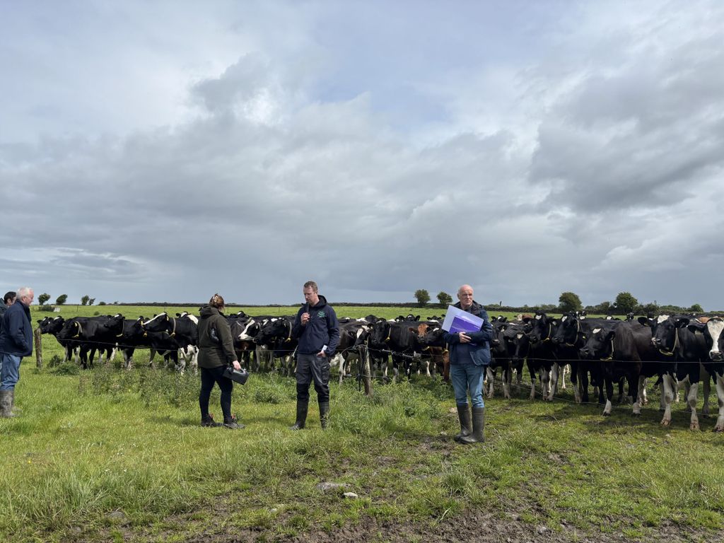 Enda speaking at the recent farm walk.