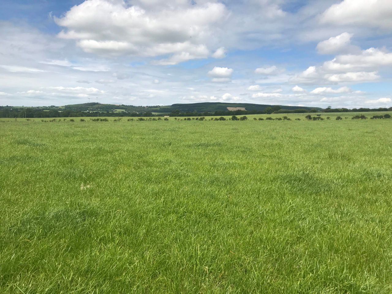 DAFM: 460 ACRES farmers still waiting on their final payments for 2023