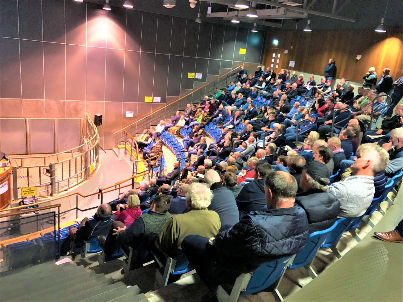 Kepak cattle procurement boss gives beef-trade outlook