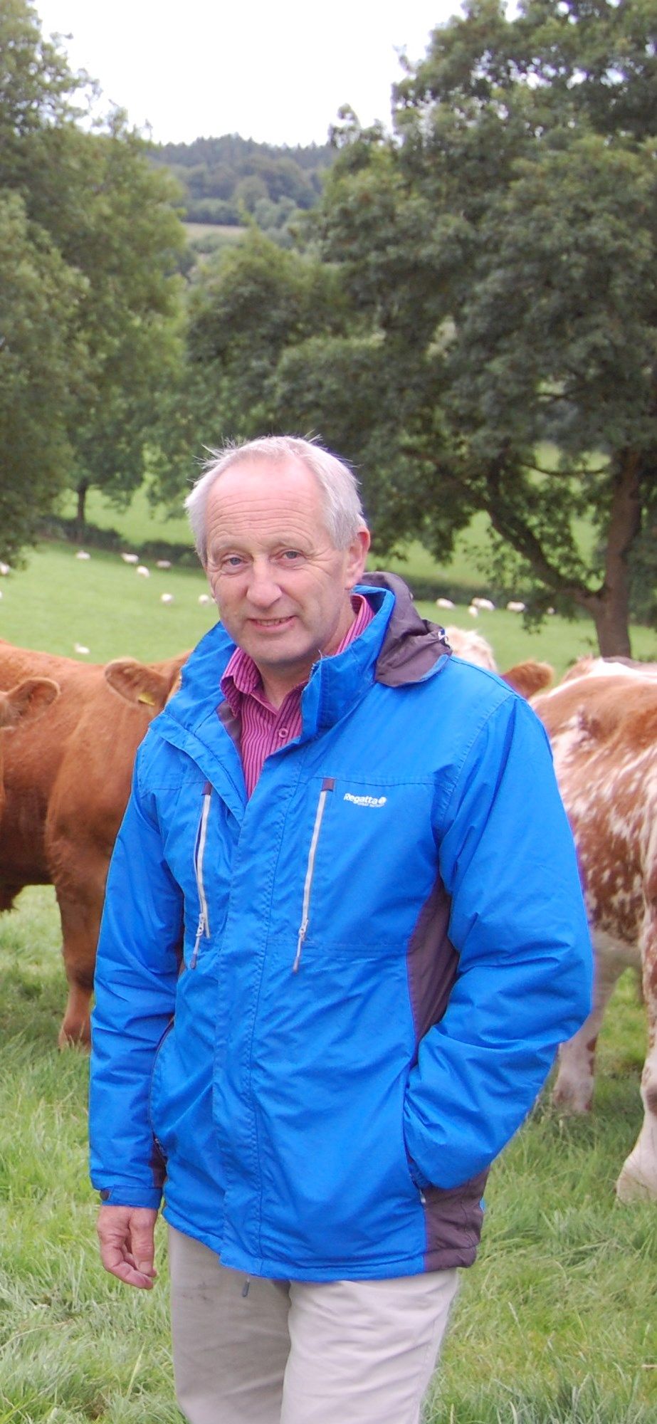 AFBI launches ‘Glenarm’, a new mid-season diploid ryegrass