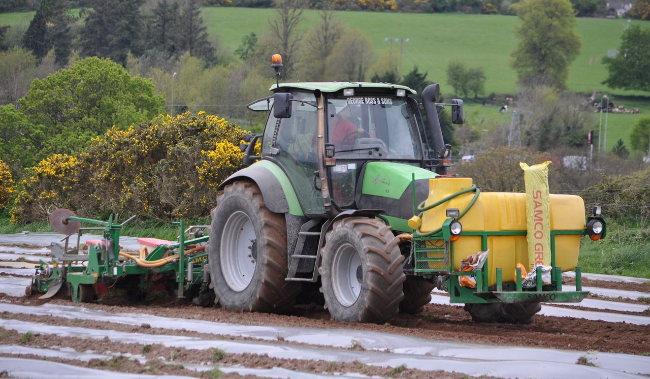 'Maize acreage will increase with rising milk prices'