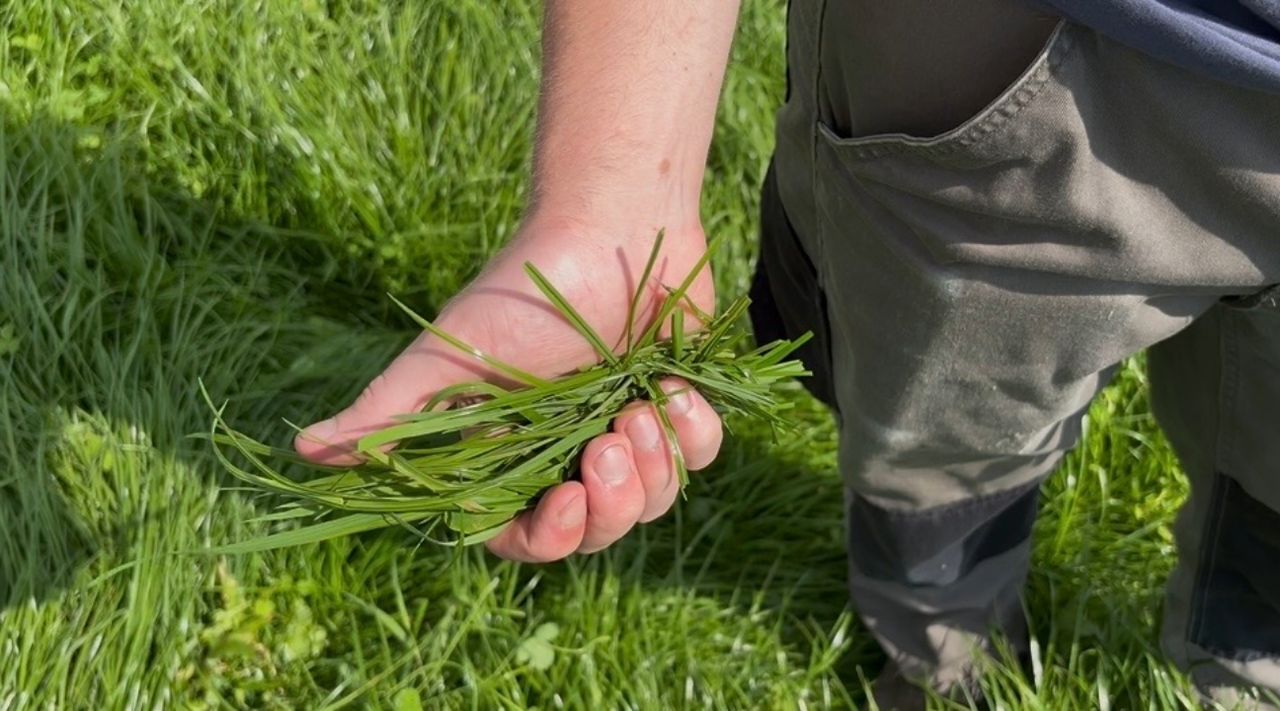 Why this Waterford farmer continues to invest in soil pH