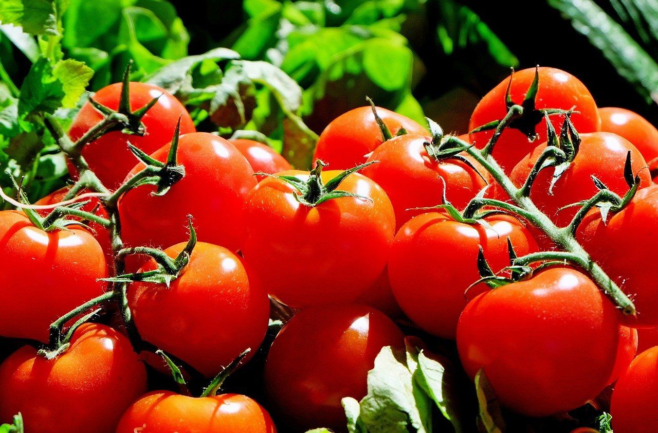€2.8m support package for the horticulture sector announced