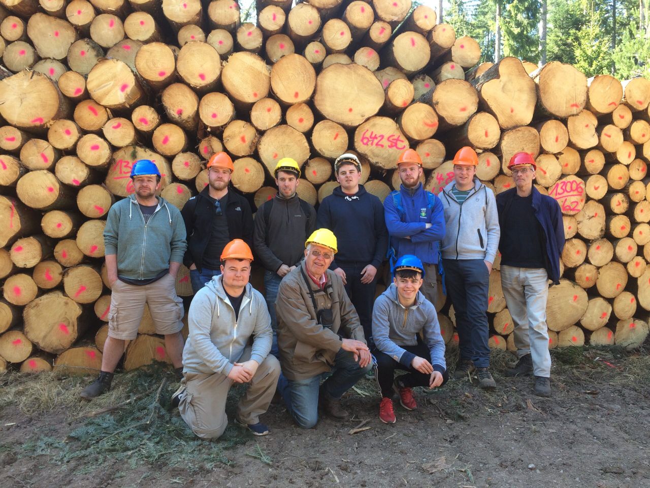 Forestry career: 'Wooden' it be nice...