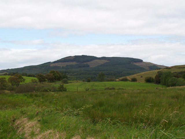 Fresh probe into Silvermines cattle poisoning saga