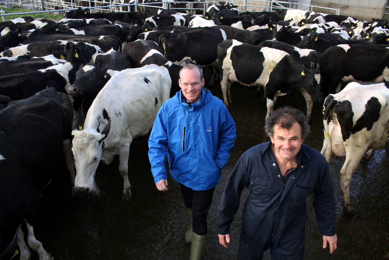 'Milk quota abolition - the most fundamental change to Irish agriculture in a generation'