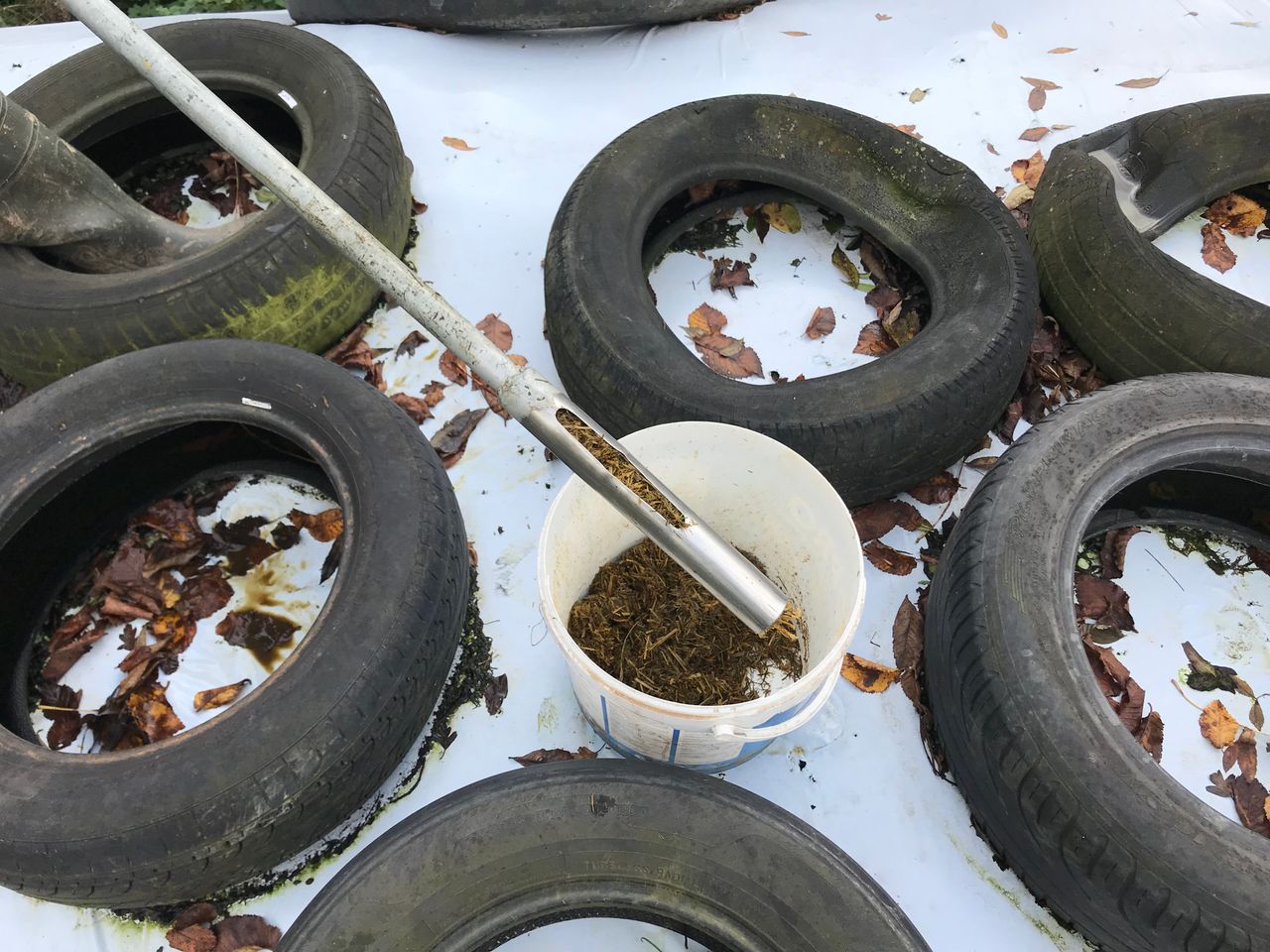 Case study: Taking and interpreting grass silage sample results in Co. Cork