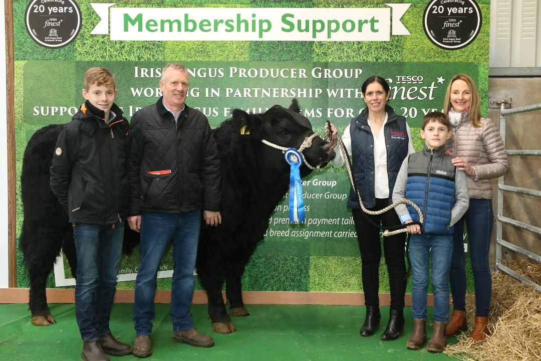 Competition winner secures premium bull at Irish Angus Elite Sale