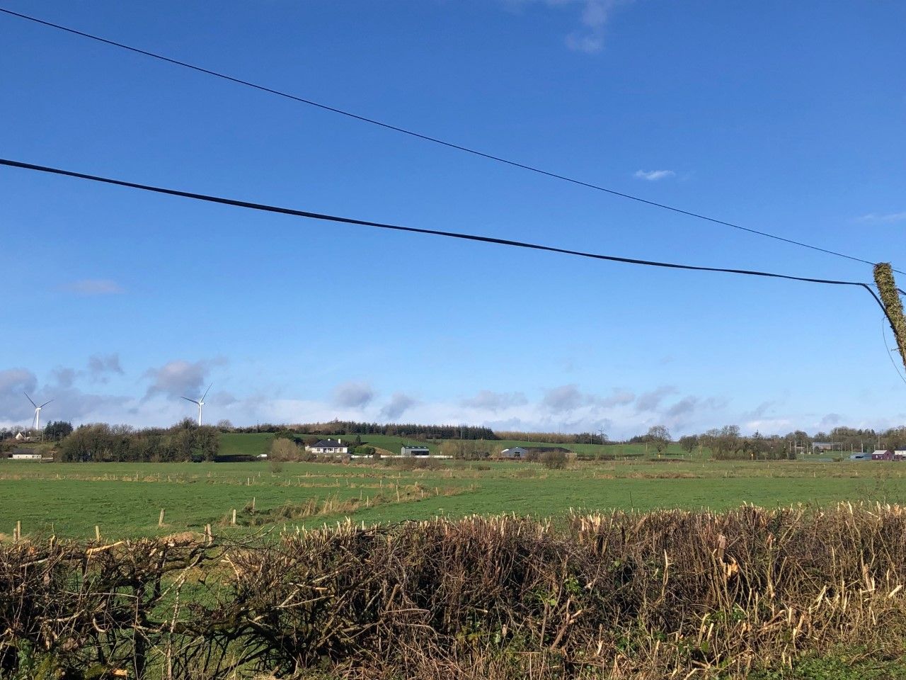 Public urged to protect birds as hedge cutting close period nears
