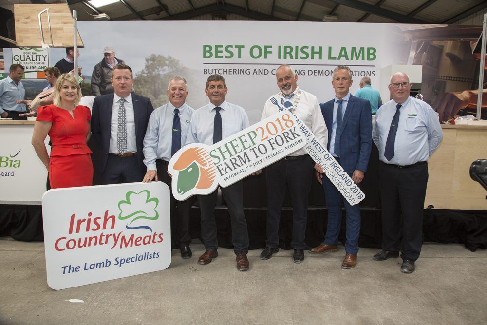 Technology transfer takes top priority at Teagasc SHEEP 2018