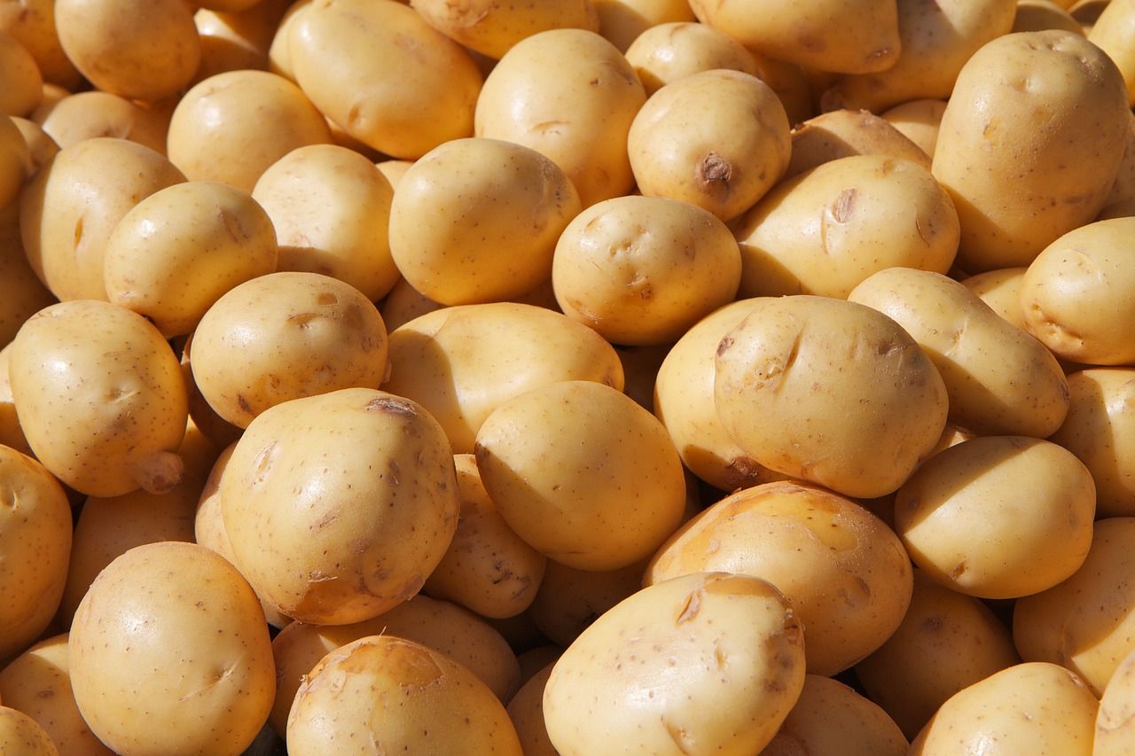 Opinion: 'International Day of the Potato' should be capitalised on