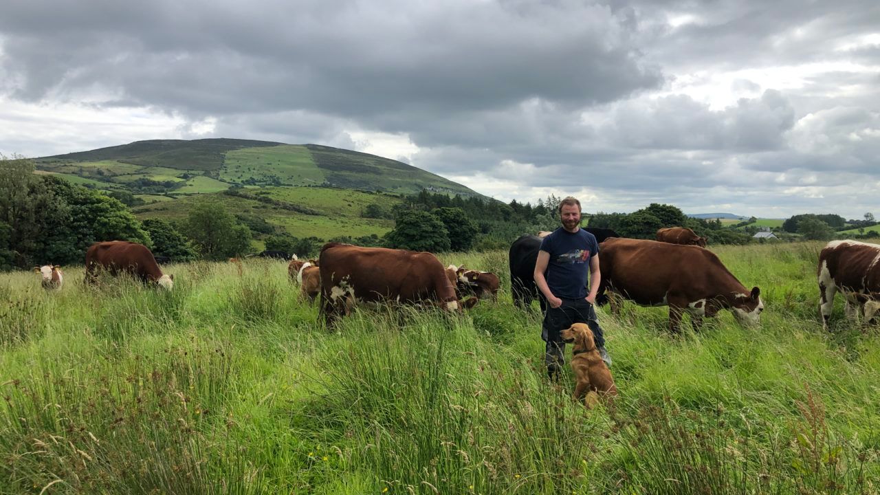 Beef Focus revisit: Making a hefty profit on 15-cow Sligo suckler farm