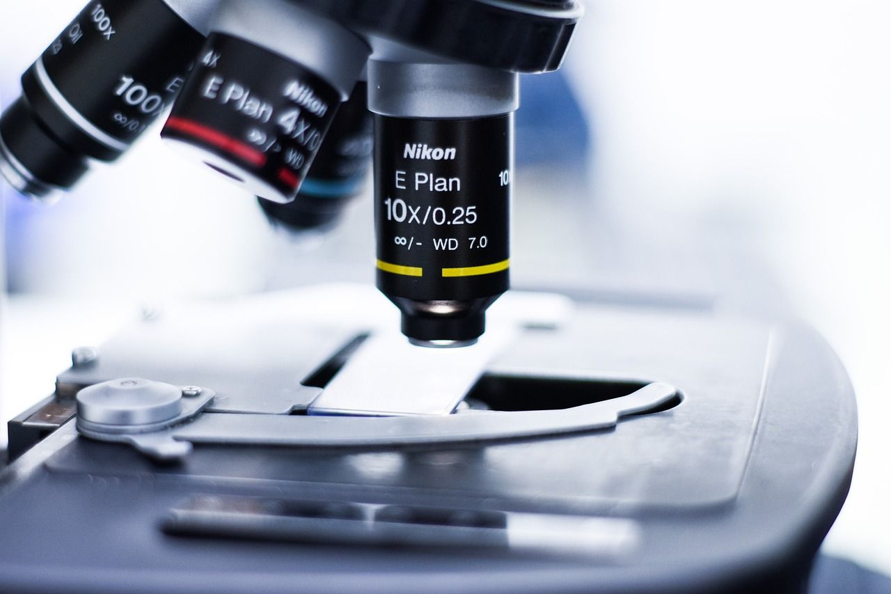 Testing to help prevent lumpy skin disease entering Ireland