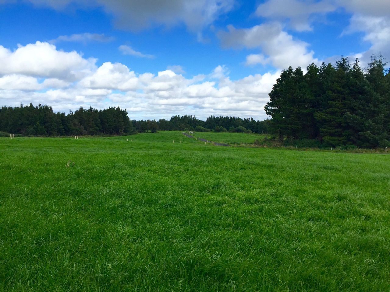 Soil sampling - how to read your soil test results