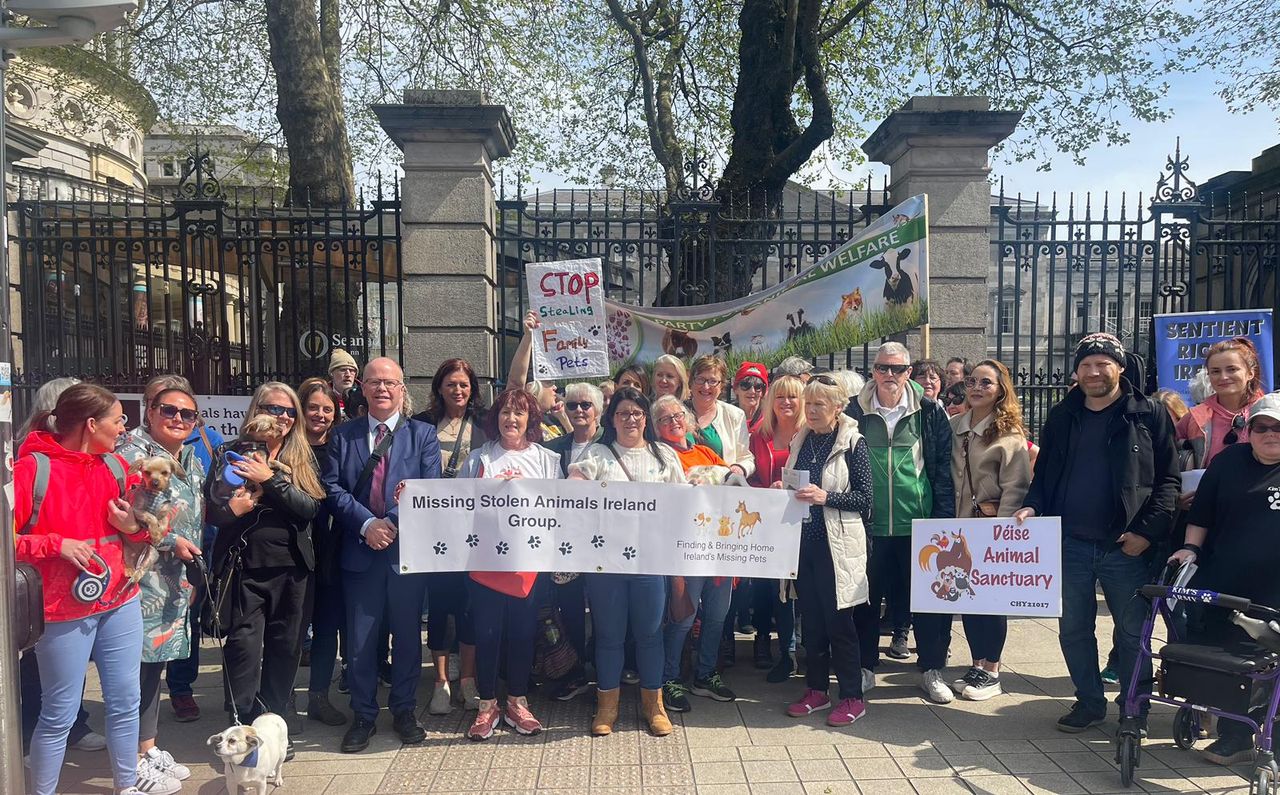 New cross-party Dáil animal welfare group planned - Tóibín