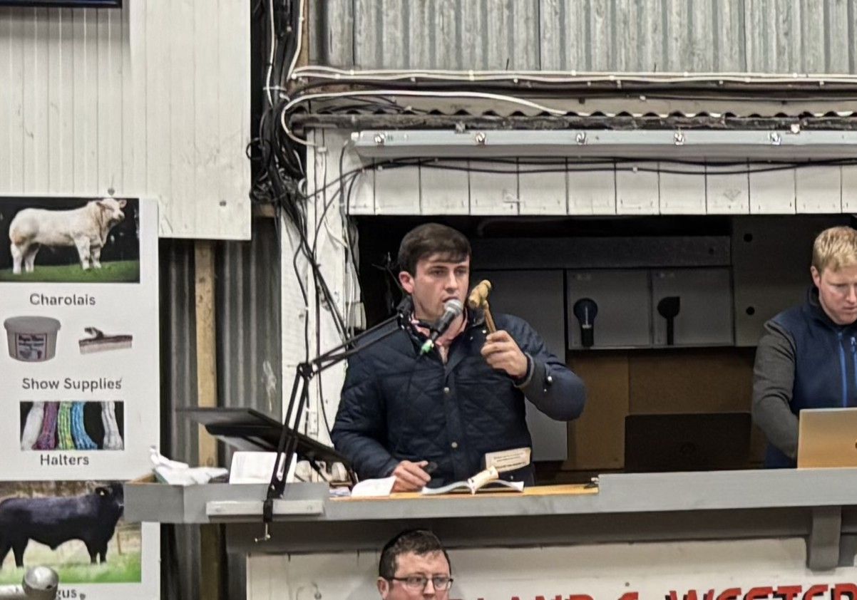 Young Leitrim auctioneer wins Macra Aurivo Northwest King title
