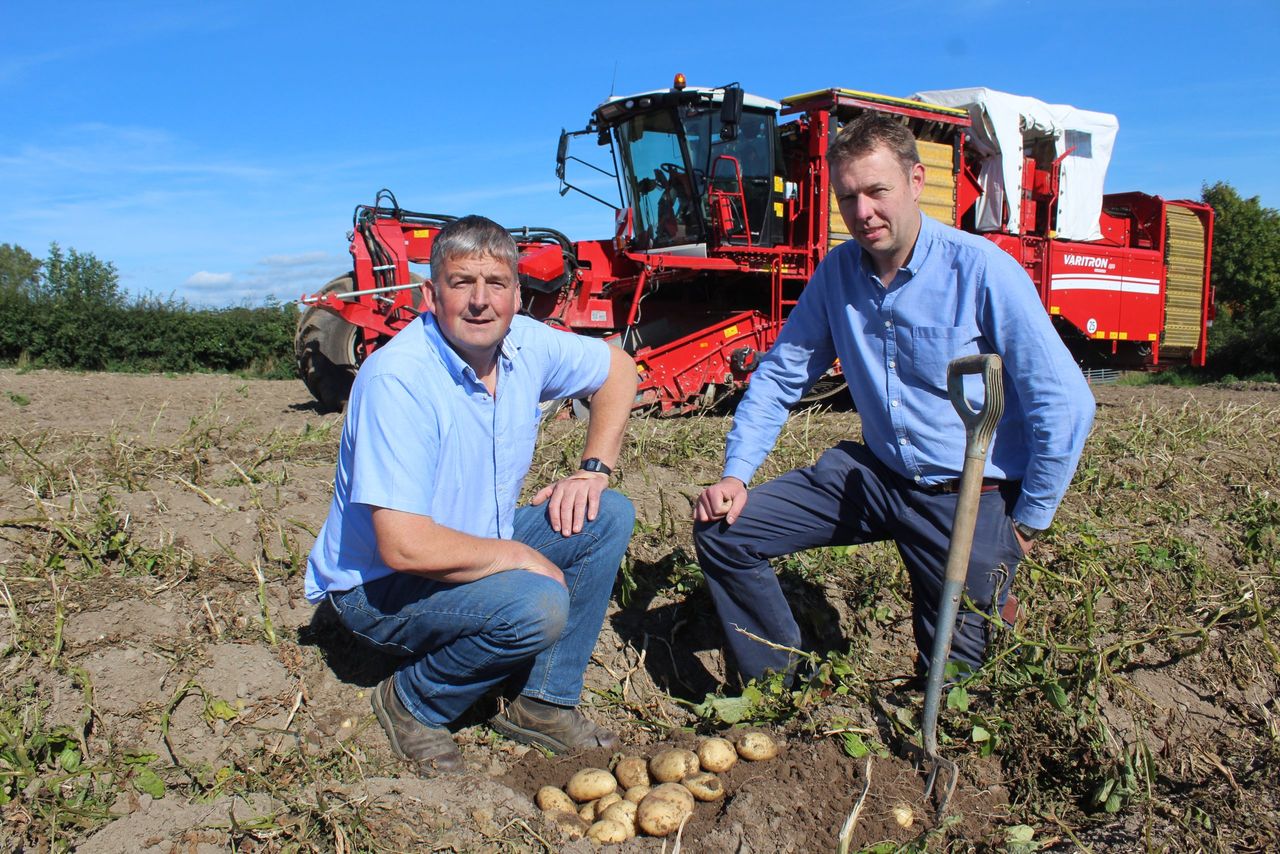 Tillage: Main crop potato harvest now underway in NI