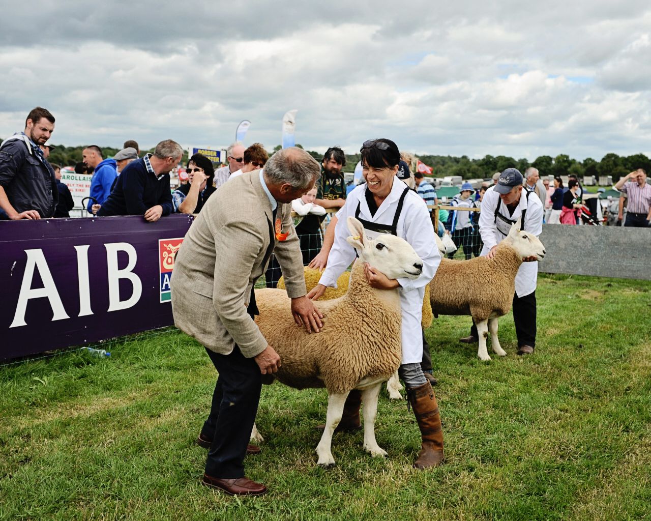 Events: Agri shows and fun days taking place this weekend