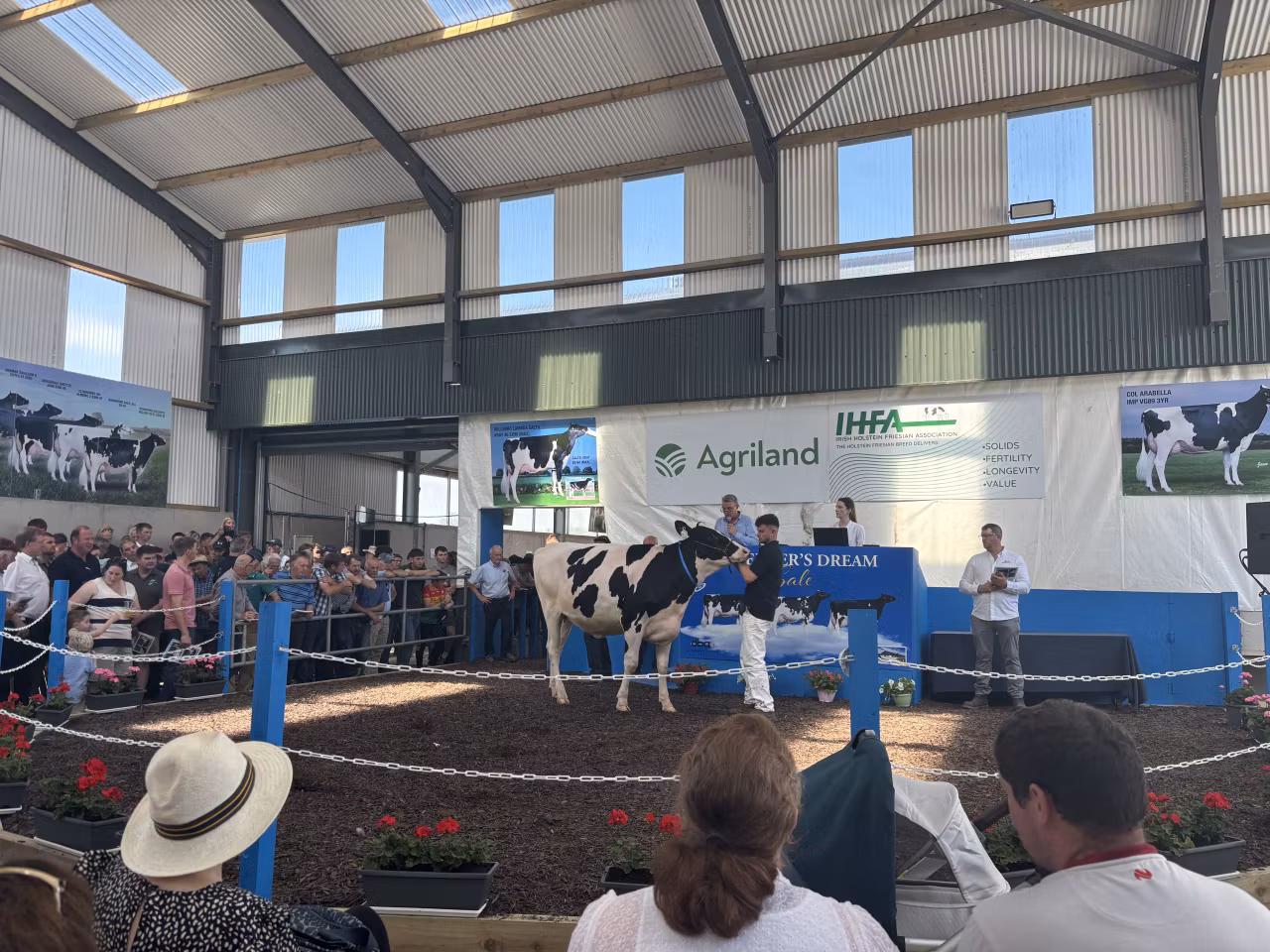 Top price of €16,200 at Breeder's Dream Sale