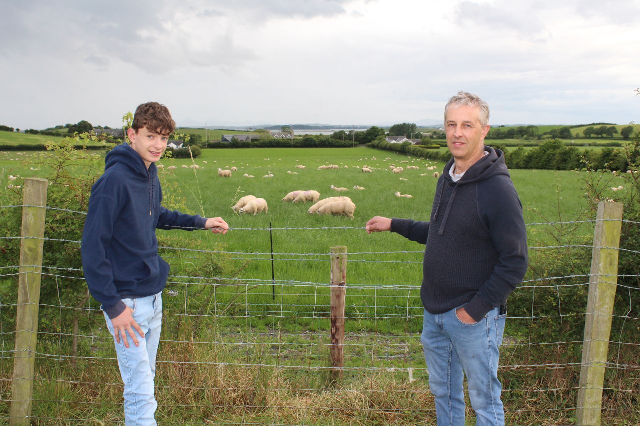 Breeding programmes offer solution to anthelmintic resistance