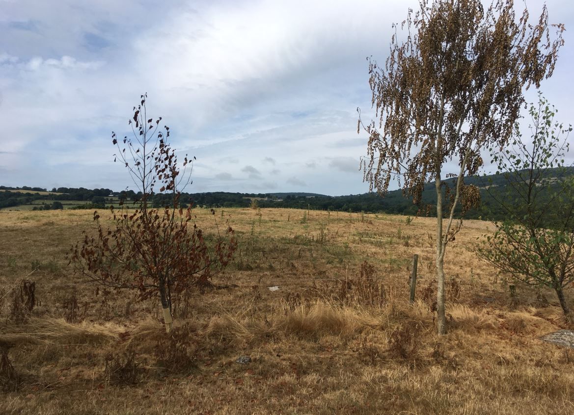Extreme farming: 'The last 9 months have been a battle against mother nature'