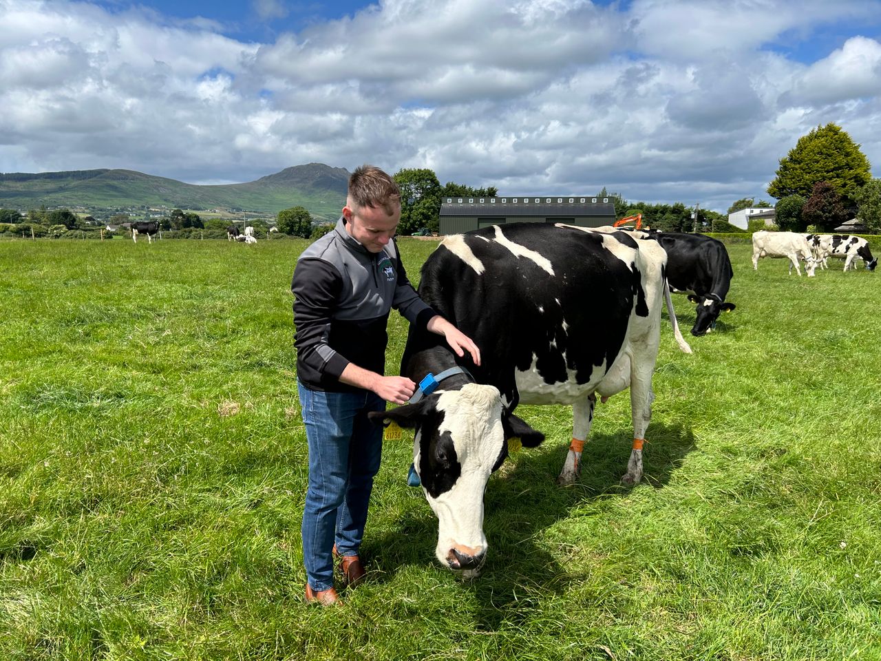 Watch: Young Louth farmer diversifies family dairy farm