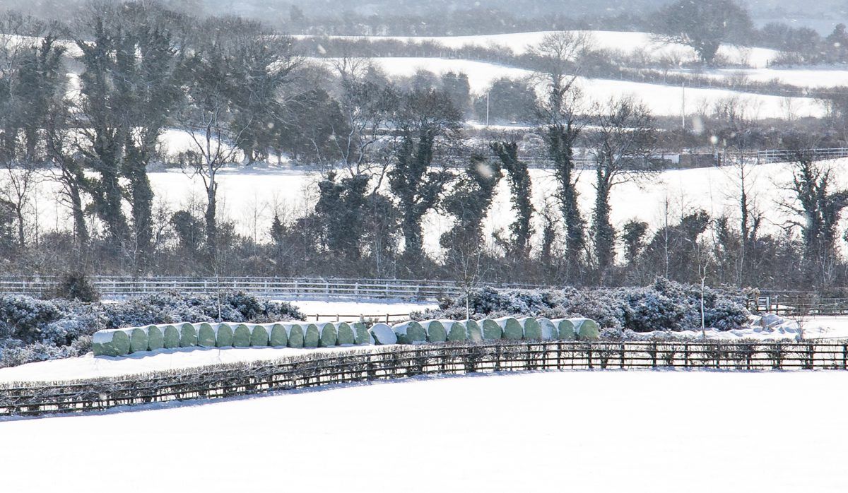 Impact of big freeze: 'Grass growth will be delayed by two weeks'