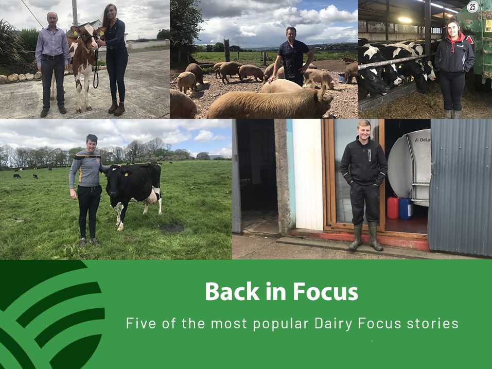Dairy throwback series to go live over the festive period