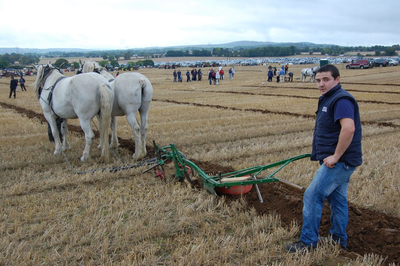 Ploughing to return to Ratheniska in 2015