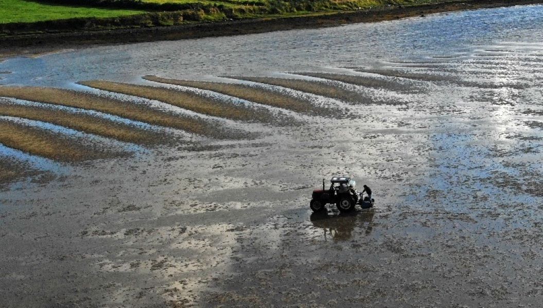 Mayo man convicted for setting illegal net on a beach using tractor