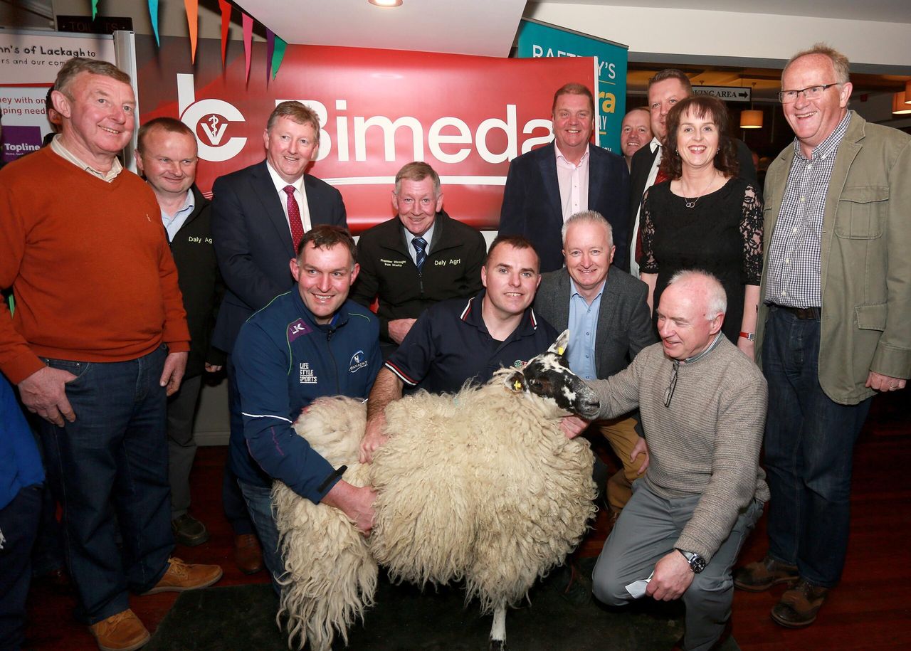 Major sheep shearing festivals to take place in the coming weeks