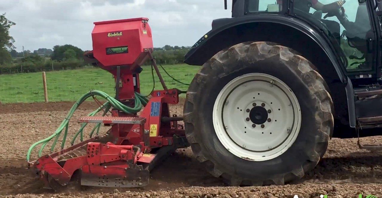 Heat and conditions still allowing for autumn reseeding