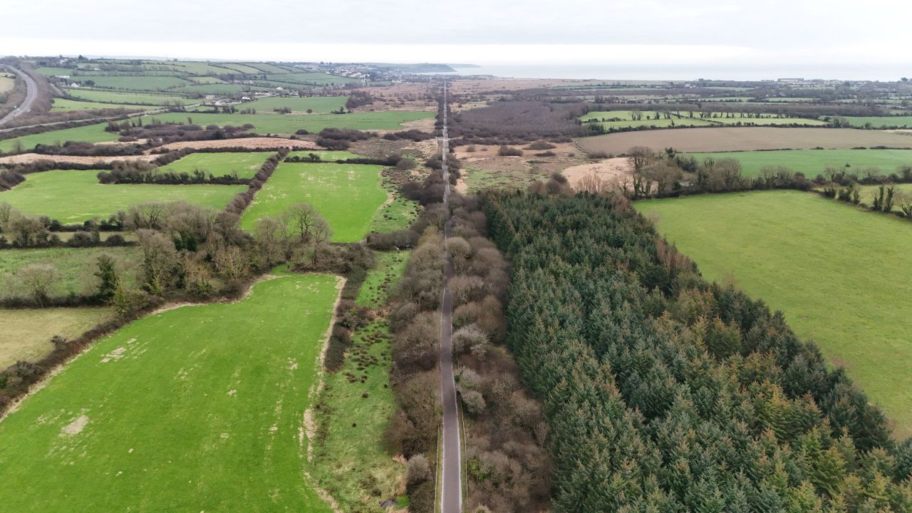 Greenway CPO process marked by ‘coercive strong-arm practices’ - Collins