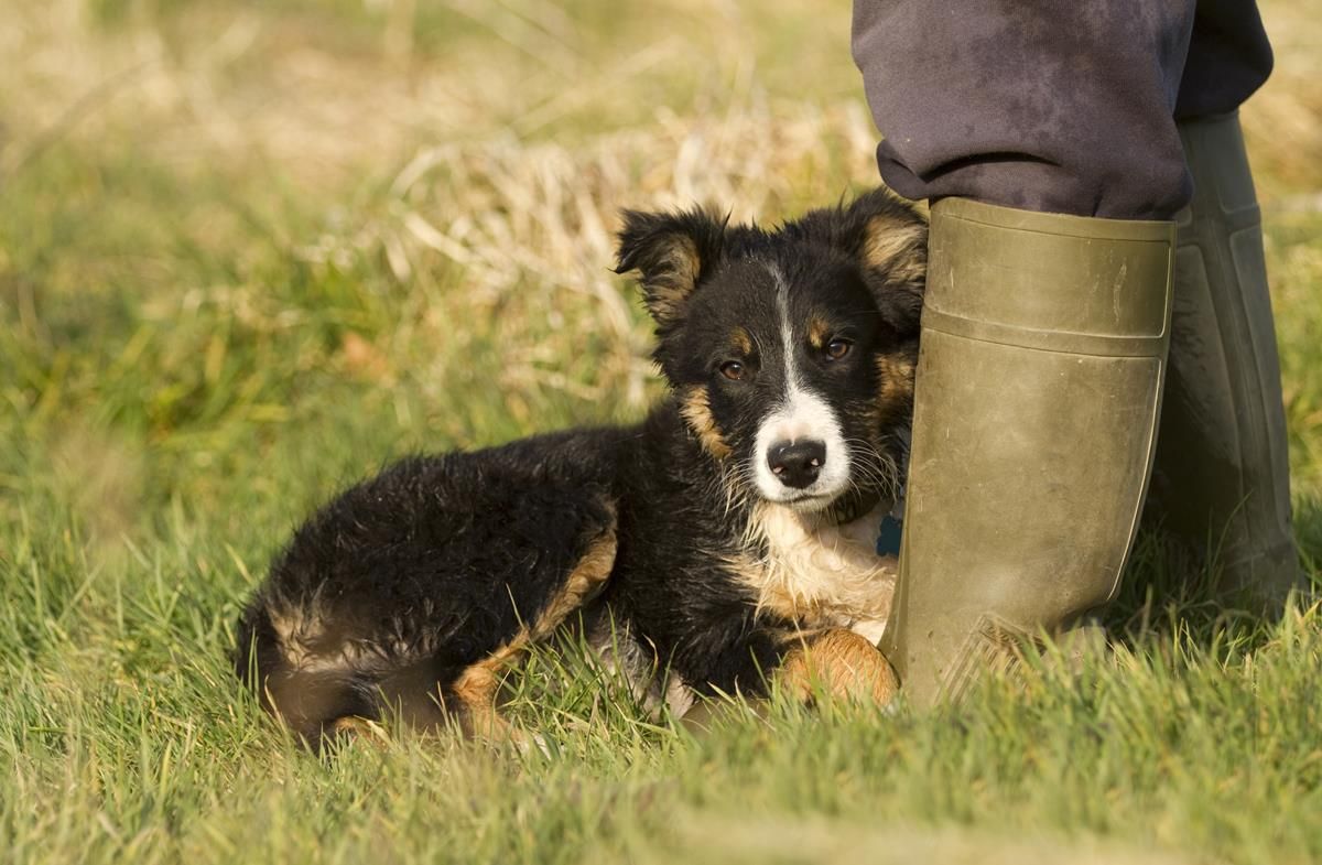 Looking to take your agri career in a new direction?