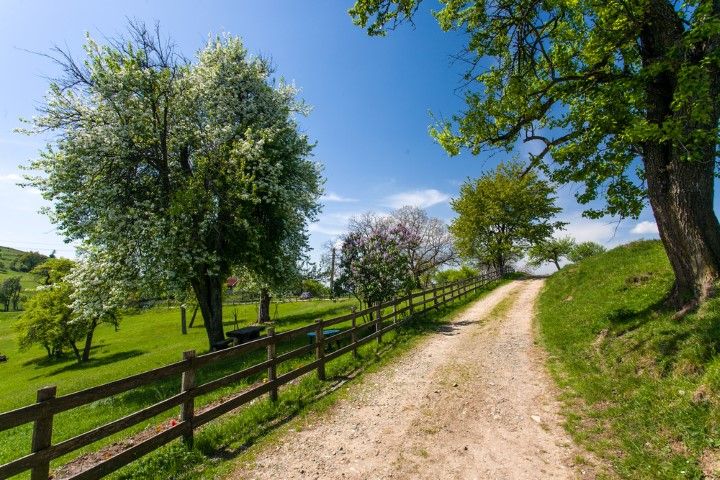 New rural development policy 'cannot become another false dawn'