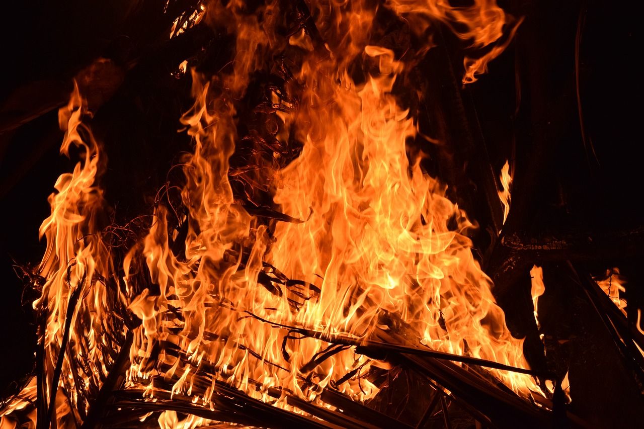 665 herds identified for illegal burning in 2023 - DAFM