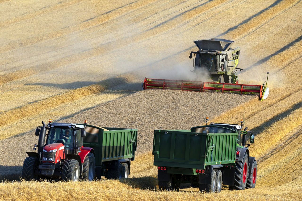 Dairygold confirms 2025 harvest cereal prices