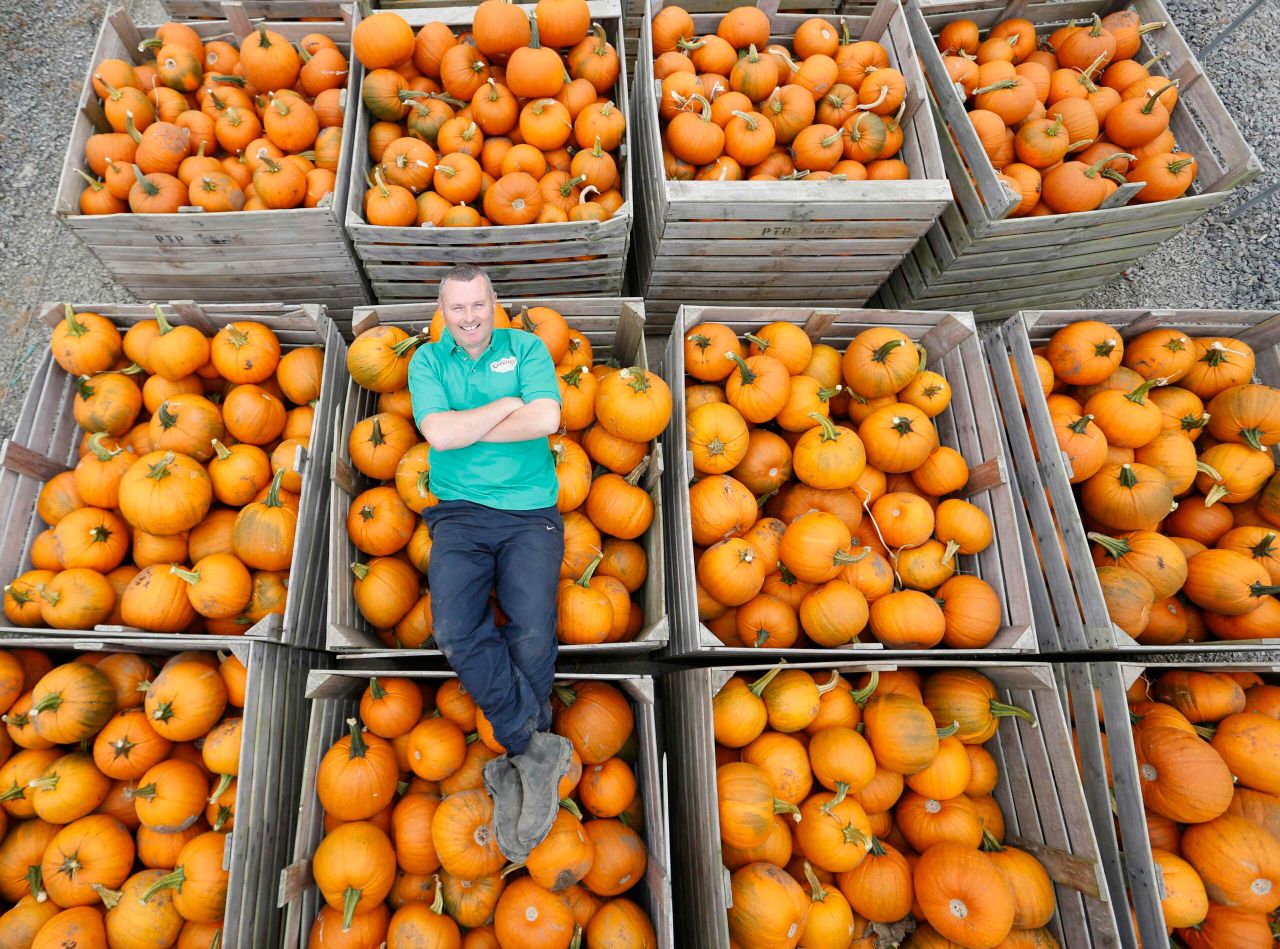 First pumpkins of the season hit the shelves