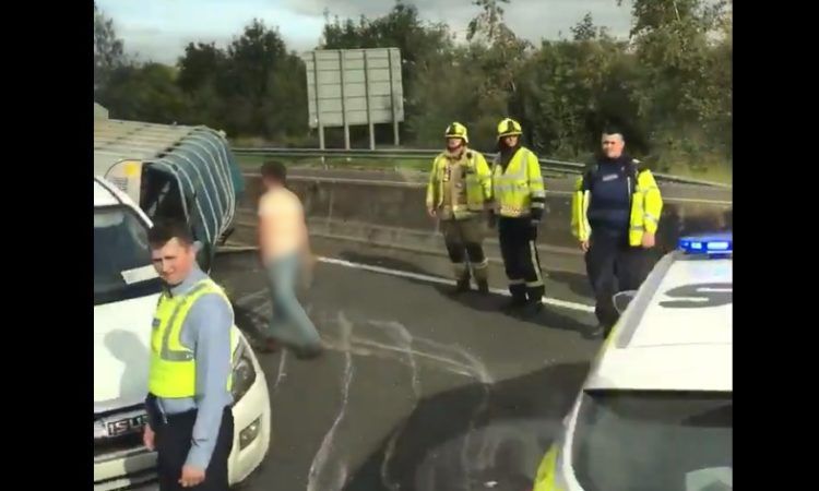 Trailer carrying cattle overturns on motorway