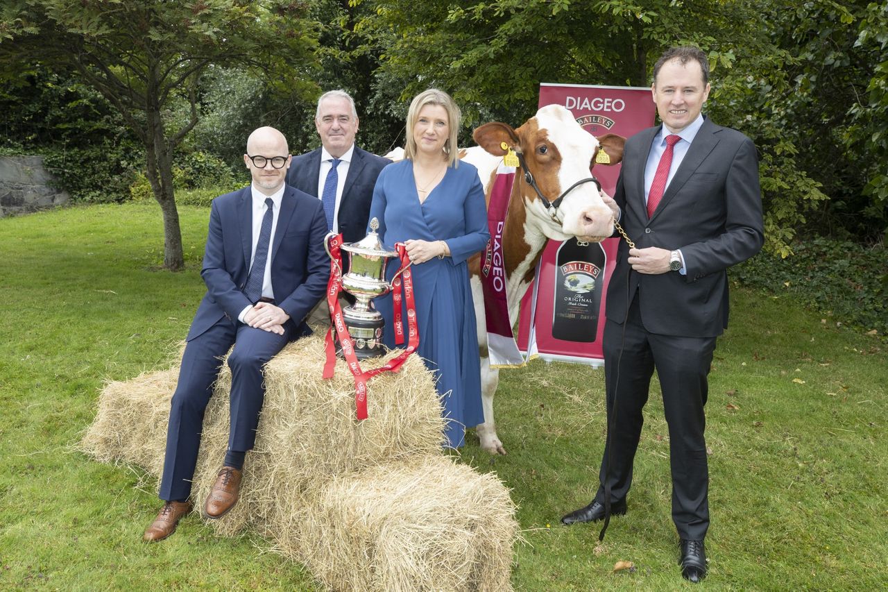 2023 Baileys cow competition opens with €13,000 prize fund