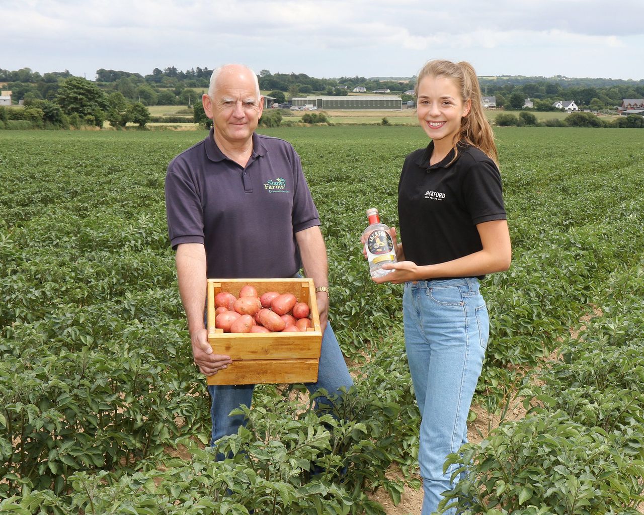 Potato grower diversifies into prize-winning Jackford gin