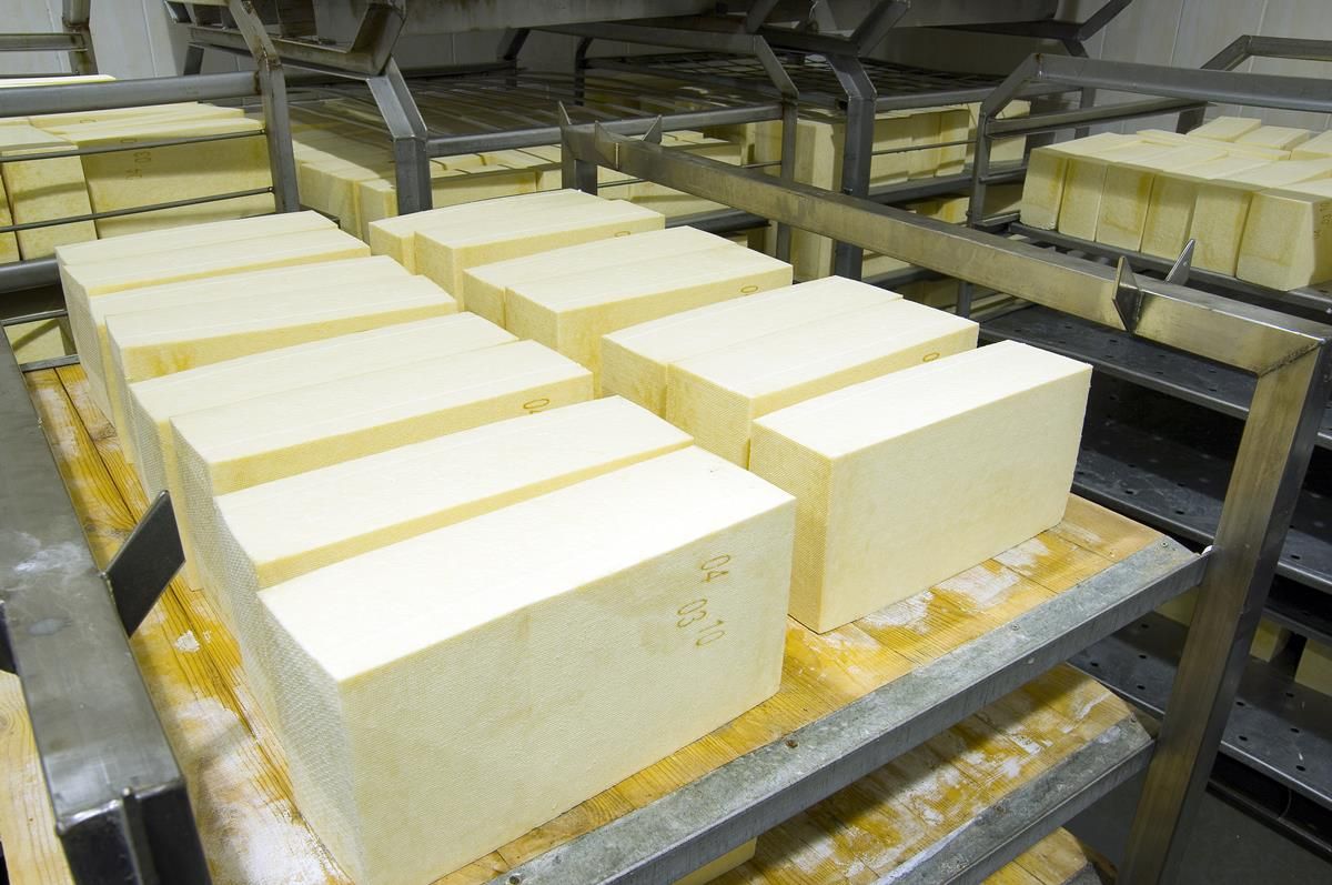 UK cheese manufacturer offering 30p/L (33.5c/L) for February milk